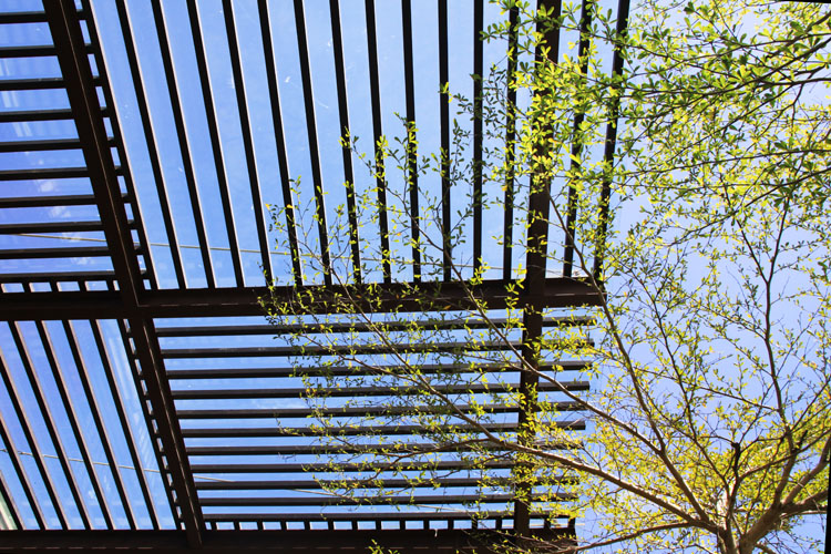 Pergola Châlons-en-Champagne